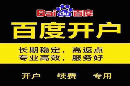 SEM推广策略如何制定——以某电商平台的成功案例为例